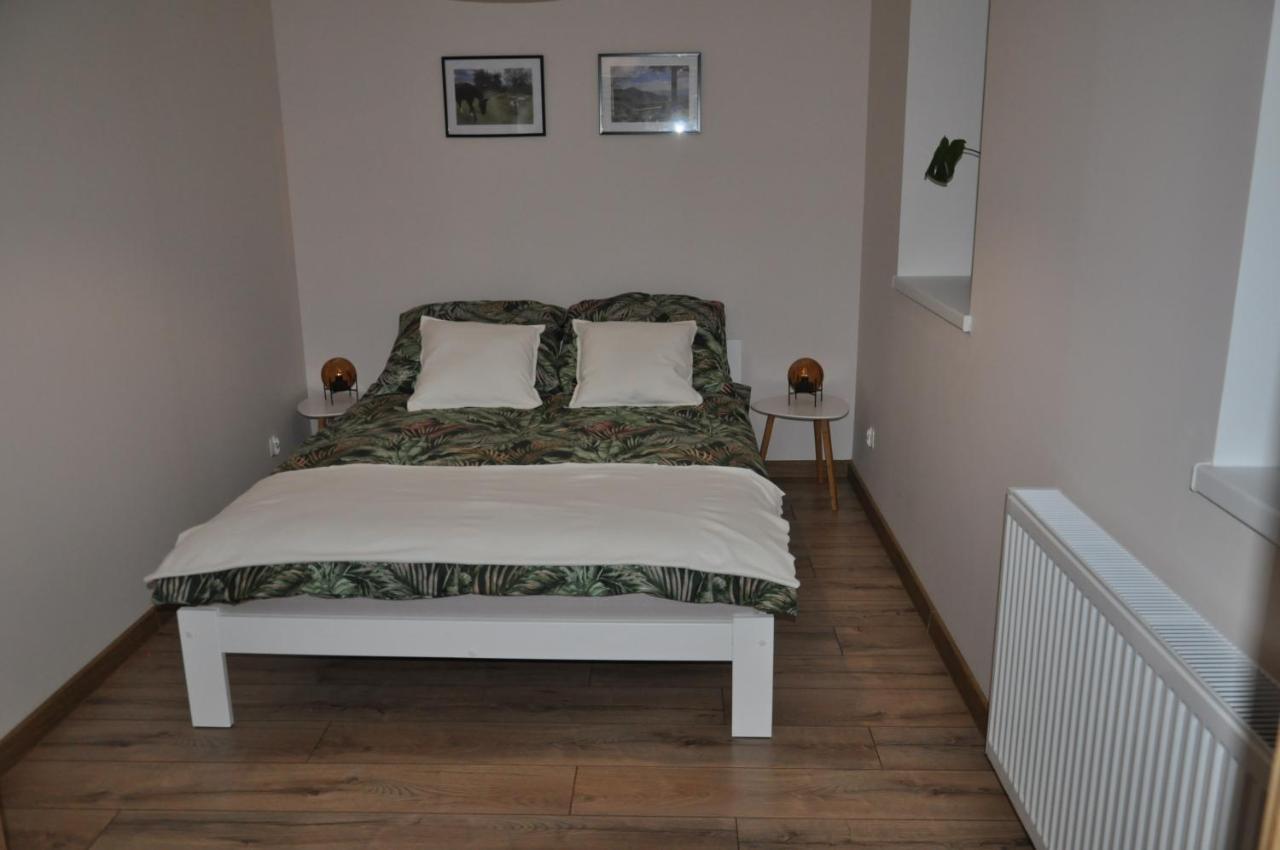 Apartamenty Sudety Bystrzyca Klodzka Bagian luar foto